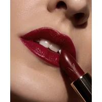 D Lady Lipstick shade 12 Lady Plum